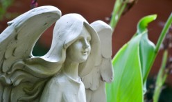 Angel at Charleston Clinic